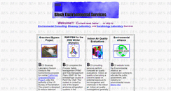 Desktop Screenshot of blockenviron.com